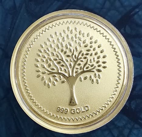24K Gold Coin - 0.200g